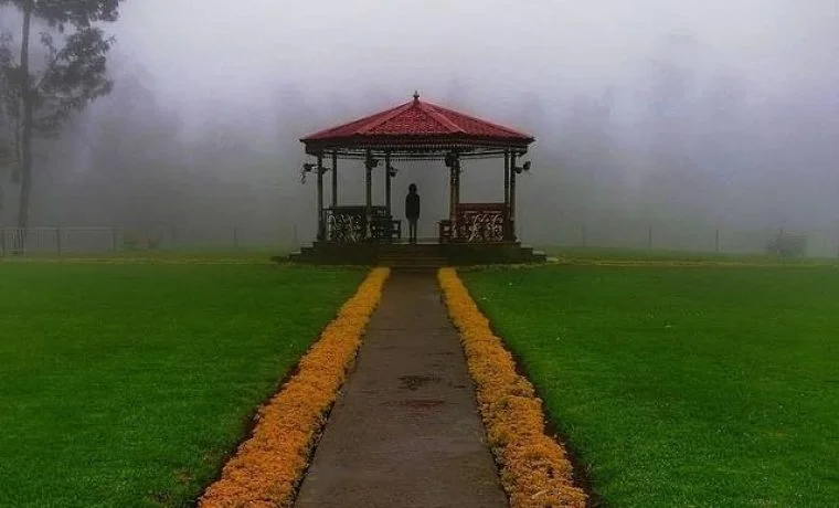 Ooty city tour cab at Tea Park and popular sightseeing places