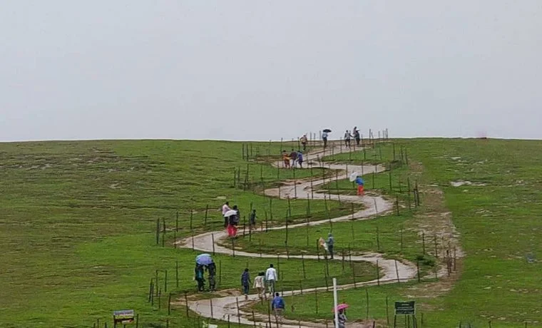 Three day Ooty cab sightseeing package covering city, Coonoor and Pykara