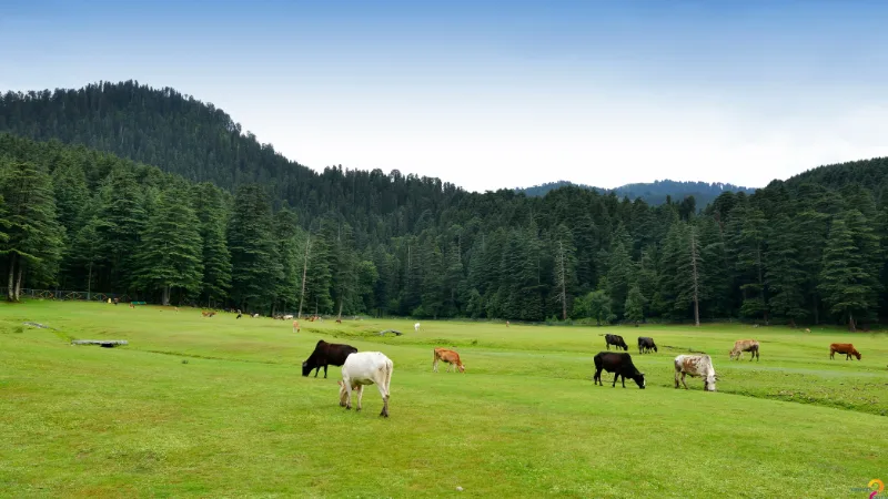 2 days 1 night Kodaikanal family package