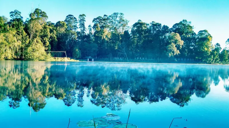 3 days 2 nights Kodaikanal honeymoon cab and hotel package