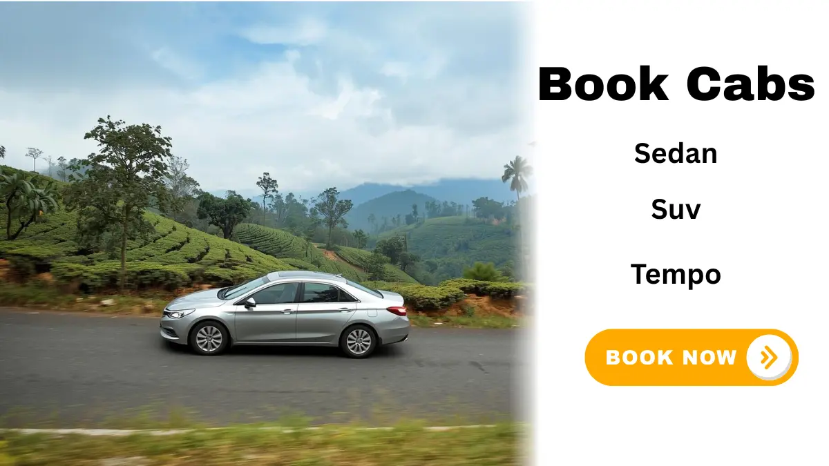 Private cab on Pykara route including Pykara Falls and nearby attractions