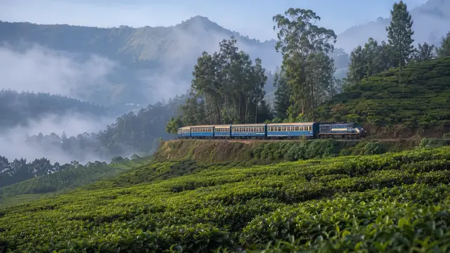 Nilgiris mountain train passing through tea estates near Ooty and Coonoor