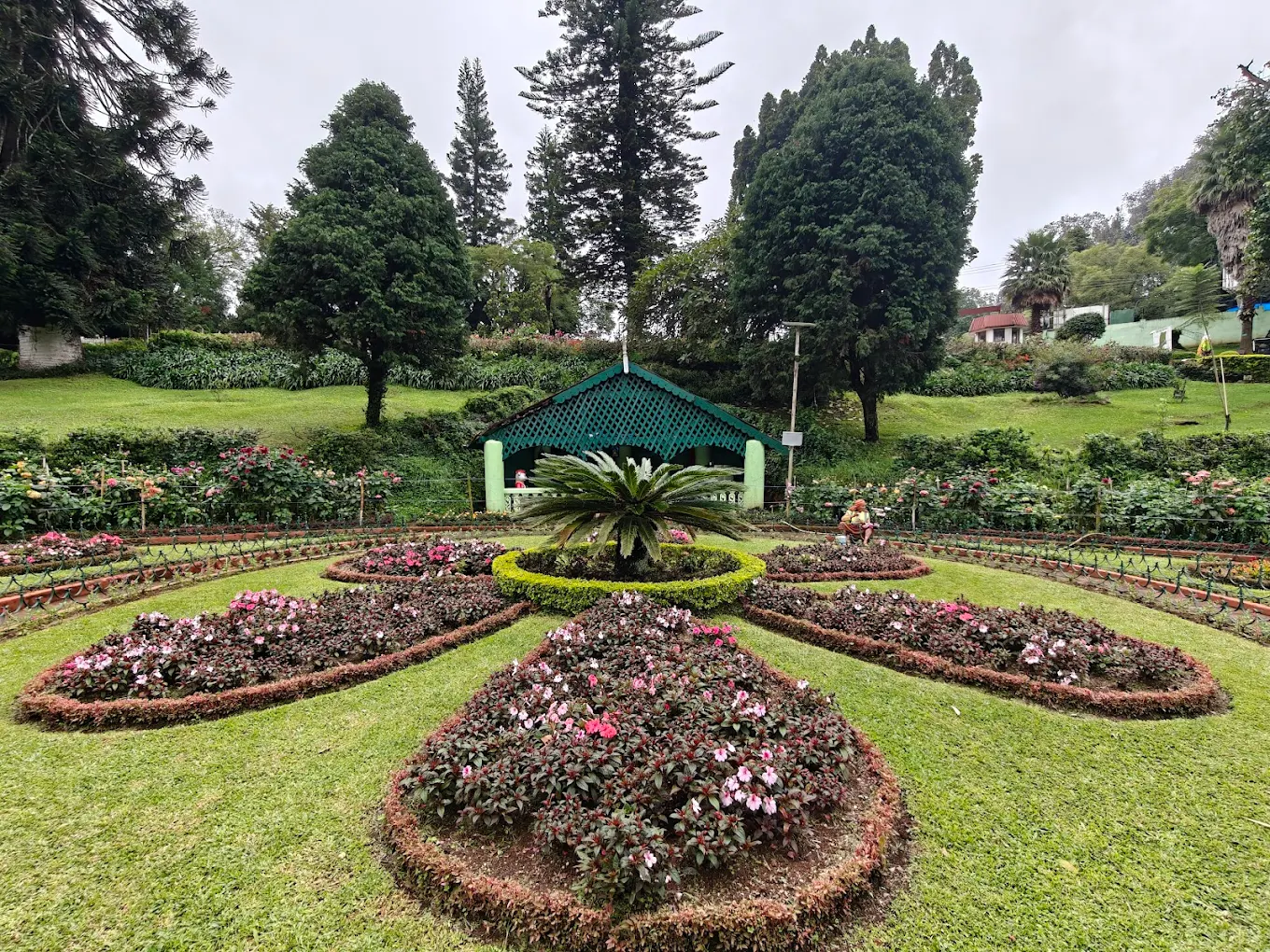 Family day trip to Coonoor tea estate