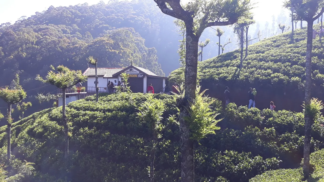 Family visiting tea estate viewpoints in Ooty