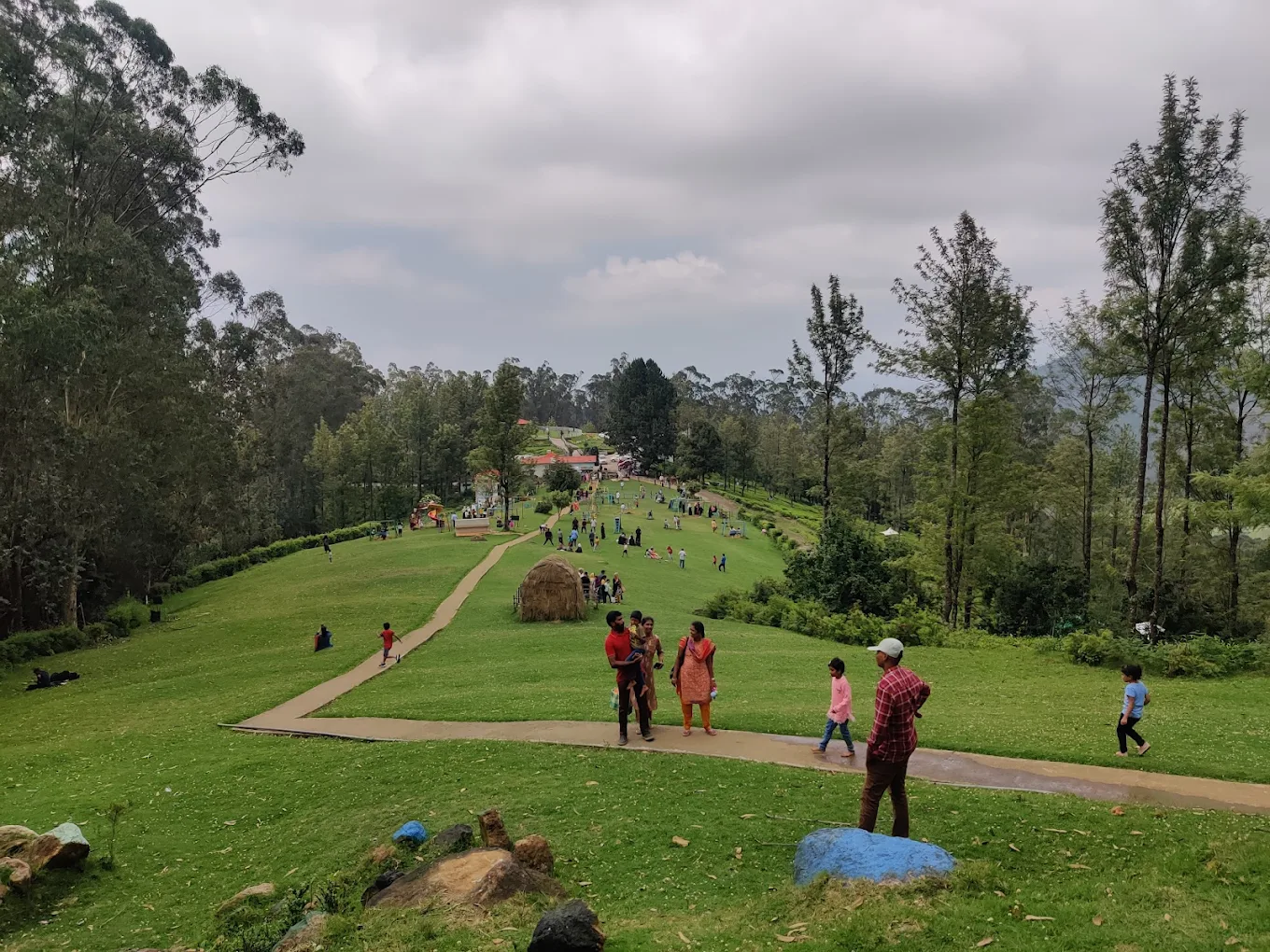 Tea Park near Doddabetta in Ooty with tea gardens and viewpoints