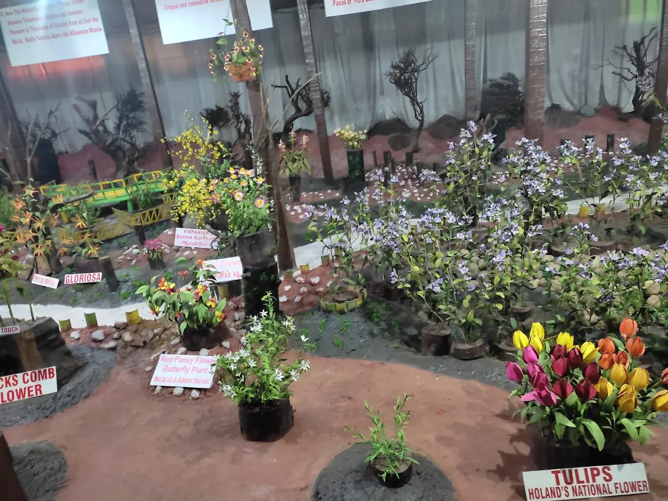 Thread Garden, Ooty Thread Garden in Ooty — hand-crafted botanical displays opposite Ooty Lake