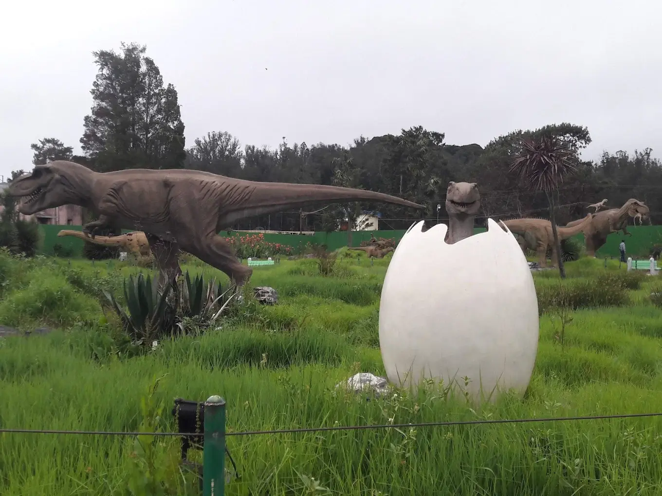 Thunder World, Ooty Thunder World Dinosaur Park in Ooty — kid-friendly attractions and photo zones